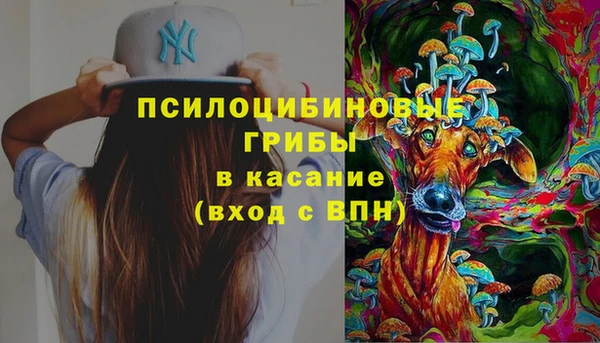 гидра Липки