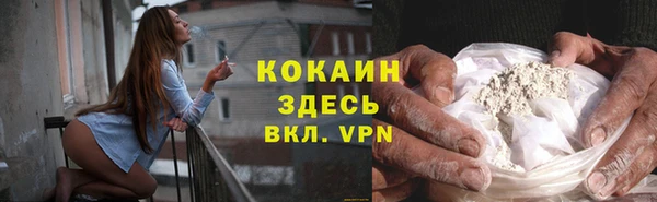 гидра Липки