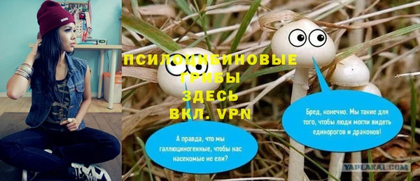гидра Липки