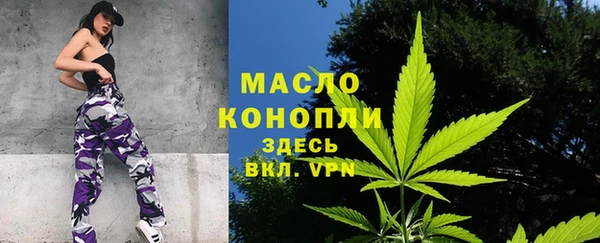 гидра Липки