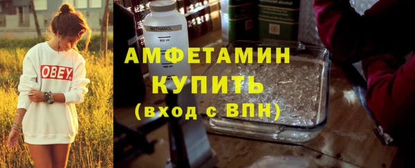гидра Липки