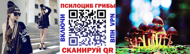 Галлюциногенные грибы Cubensis  Шумиха 